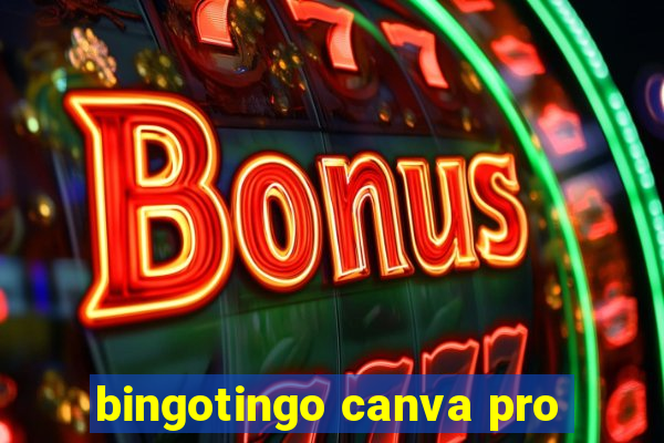 bingotingo canva pro